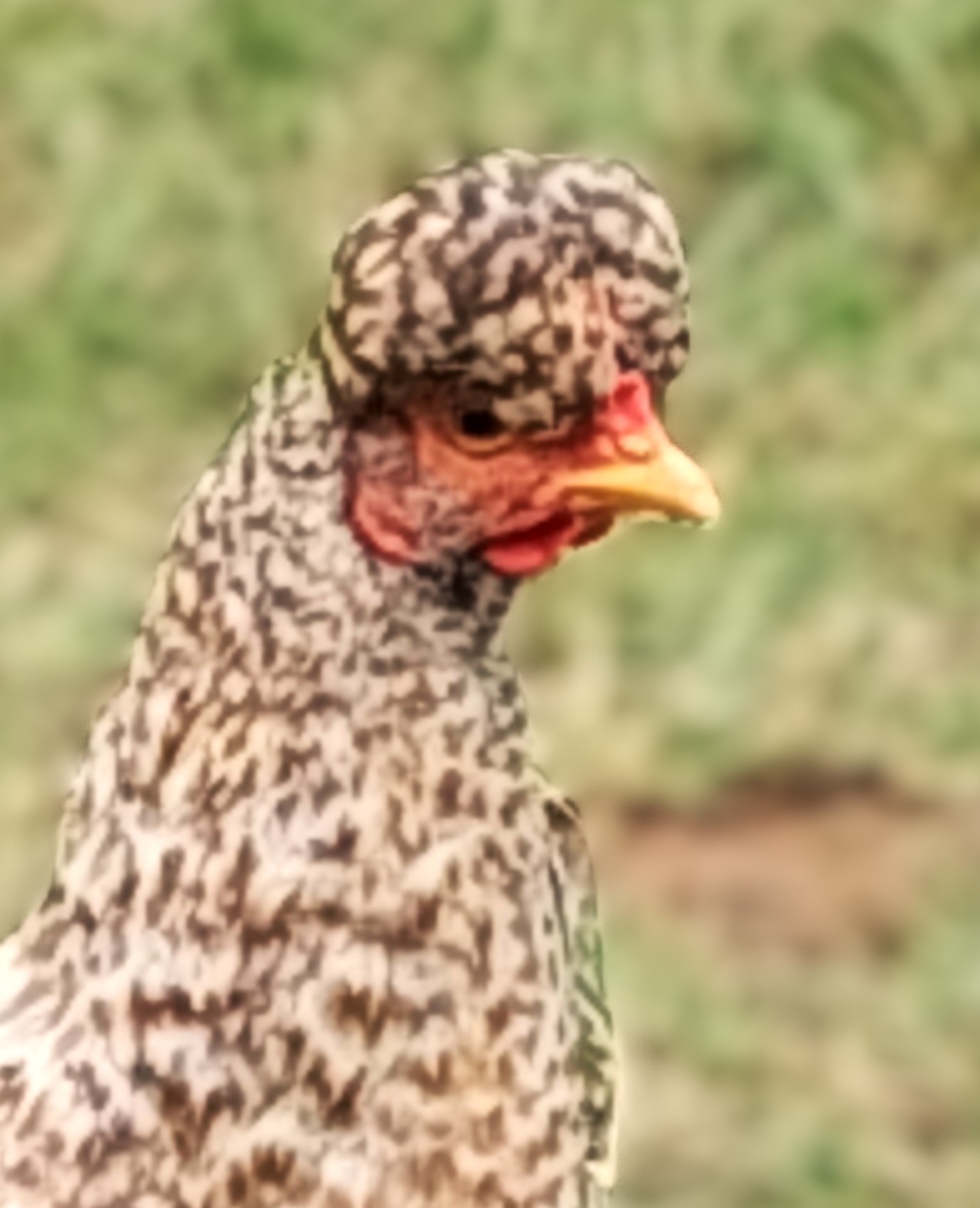 Jeder Anfang beginnt mit einer Fragestellung